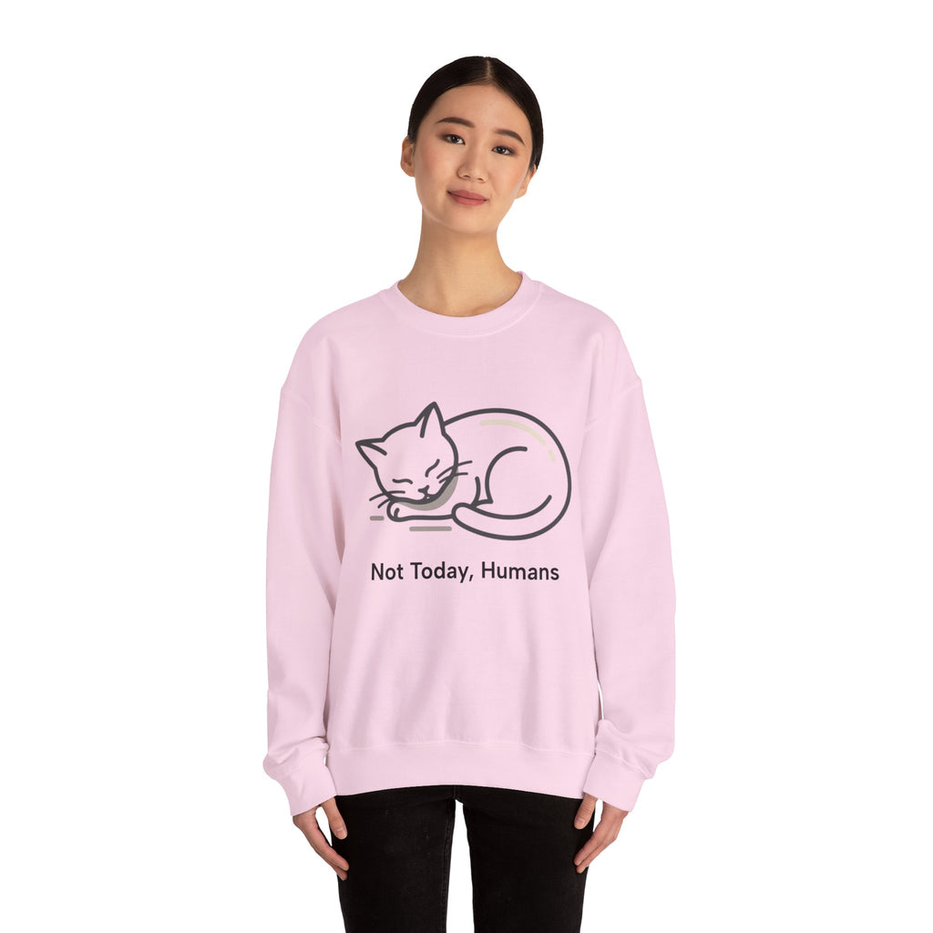 Sleeping Cat Sweatshirt | Not Today, Humans