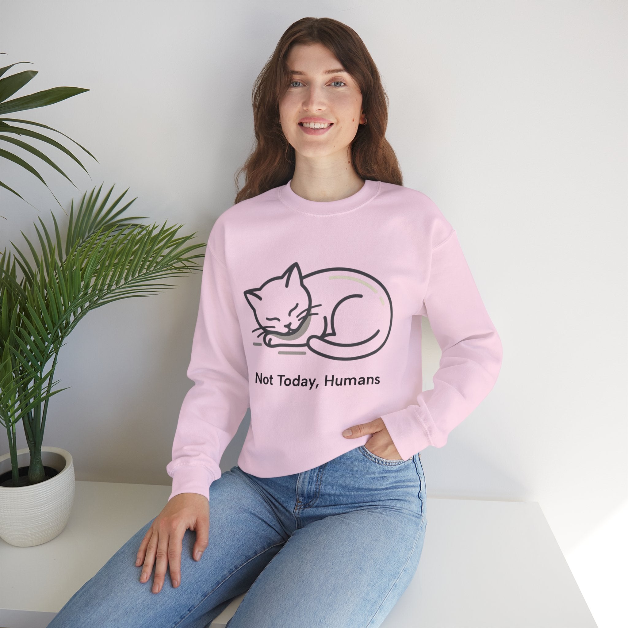 Sleeping Cat Sweatshirt | Not Today, Humans