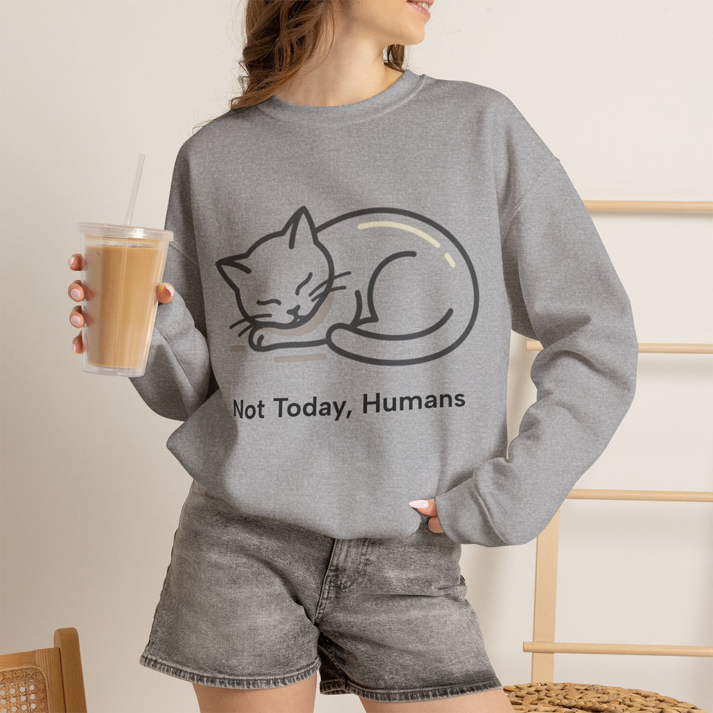 Sleeping Cat Sweatshirt | Not Today, Humans