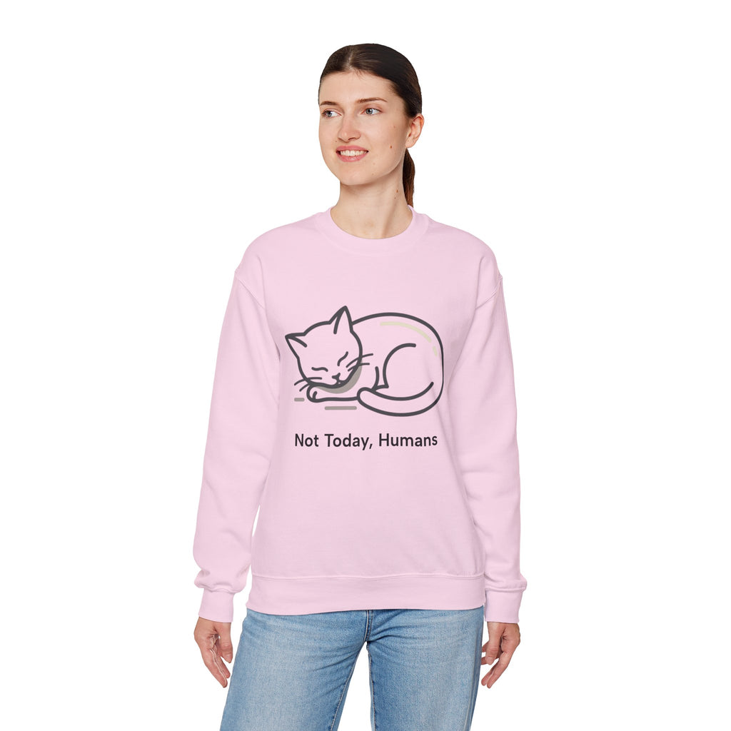 Sleeping Cat Sweatshirt | Not Today, Humans
