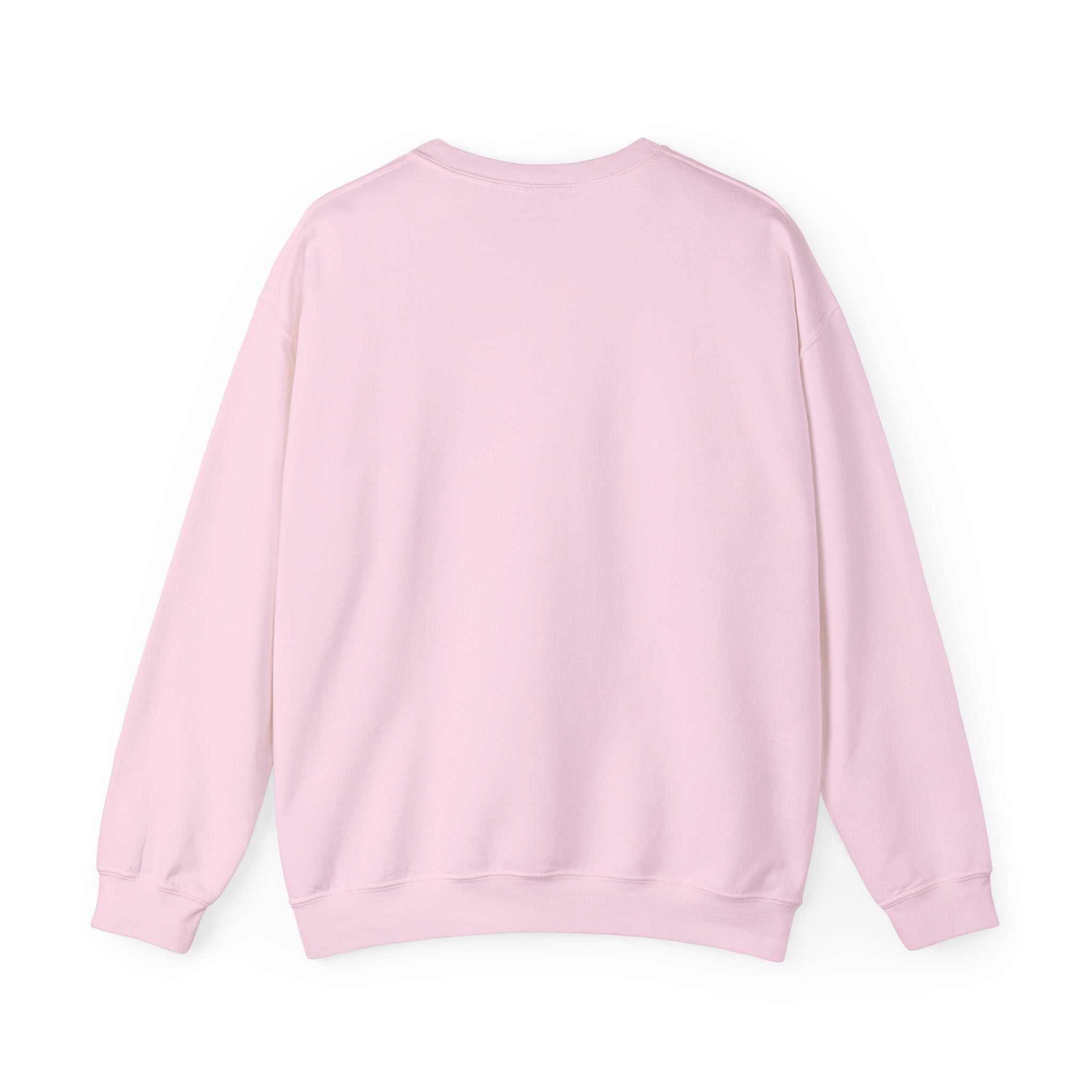 Sleeping Cat Sweatshirt | Not Today, Humans