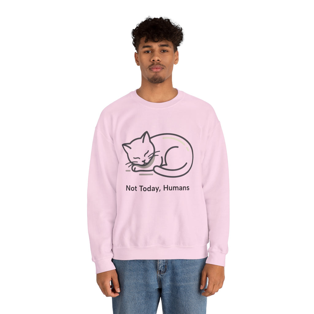 Sleeping Cat Sweatshirt | Not Today, Humans