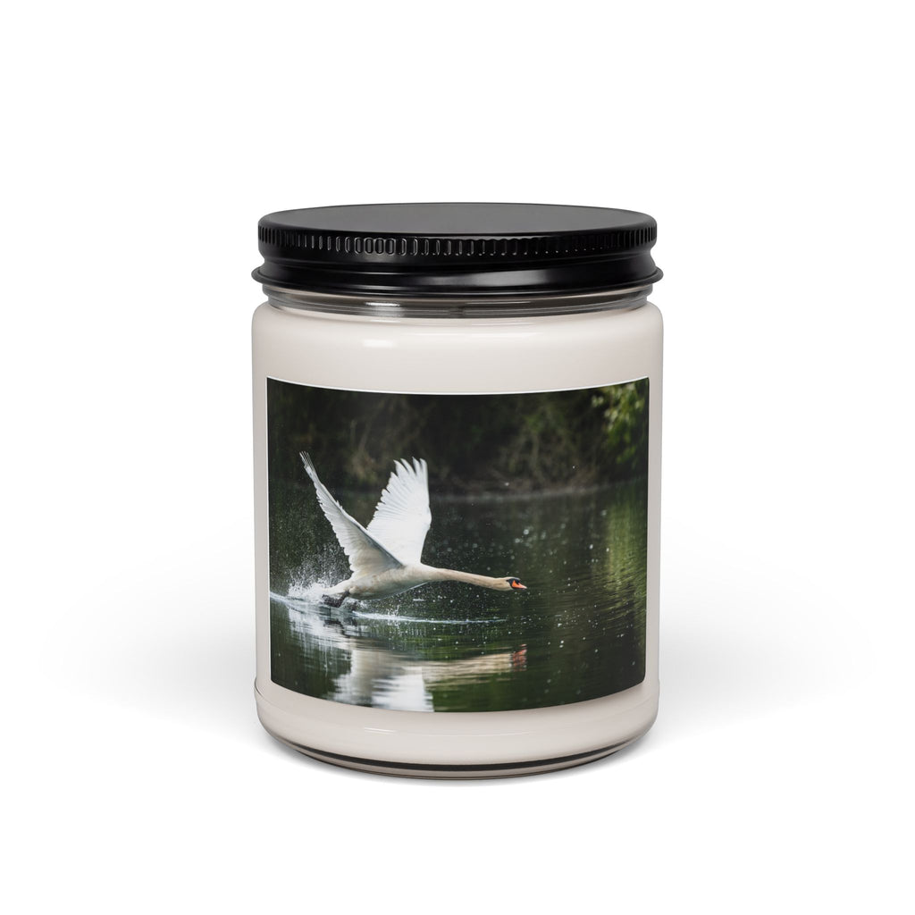 Swan Lake Scented Soy Candle — 9oz Jar
