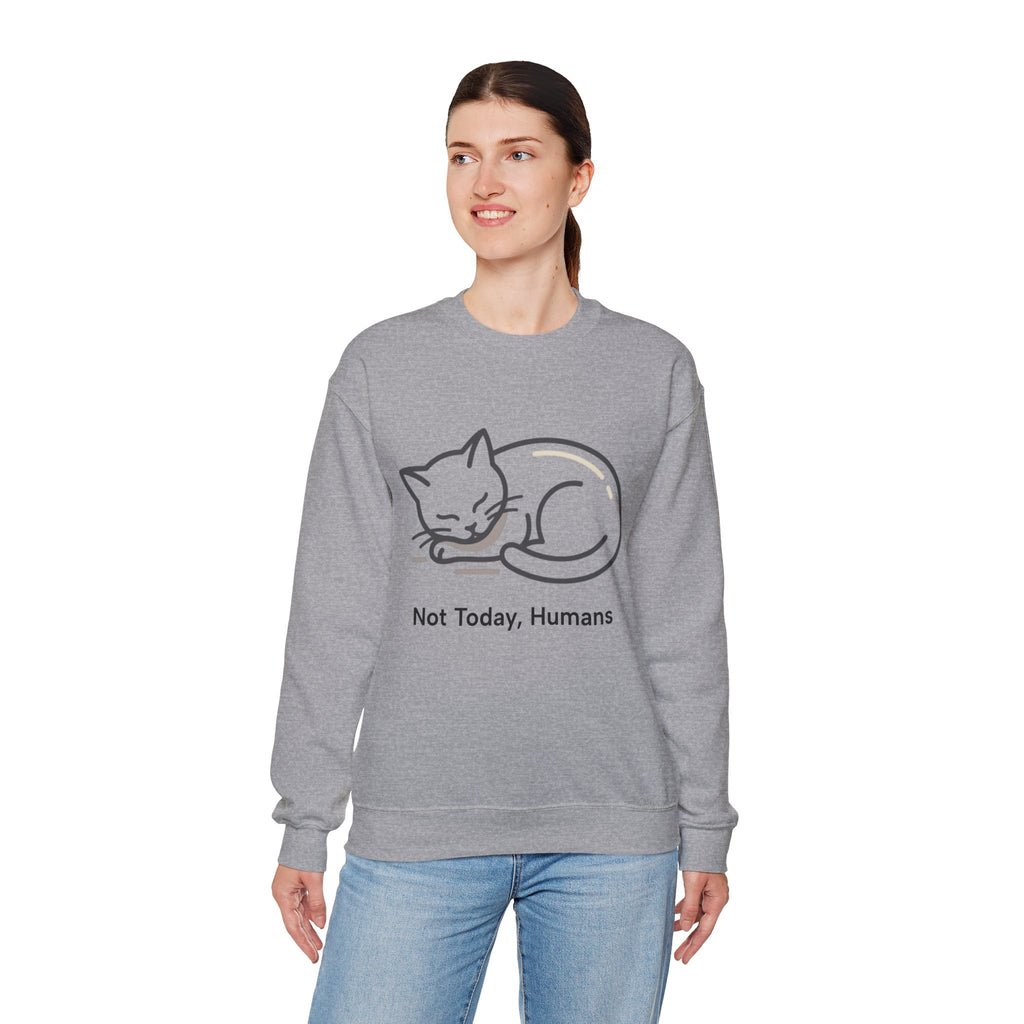 Sleeping Cat Sweatshirt | Not Today, Humans