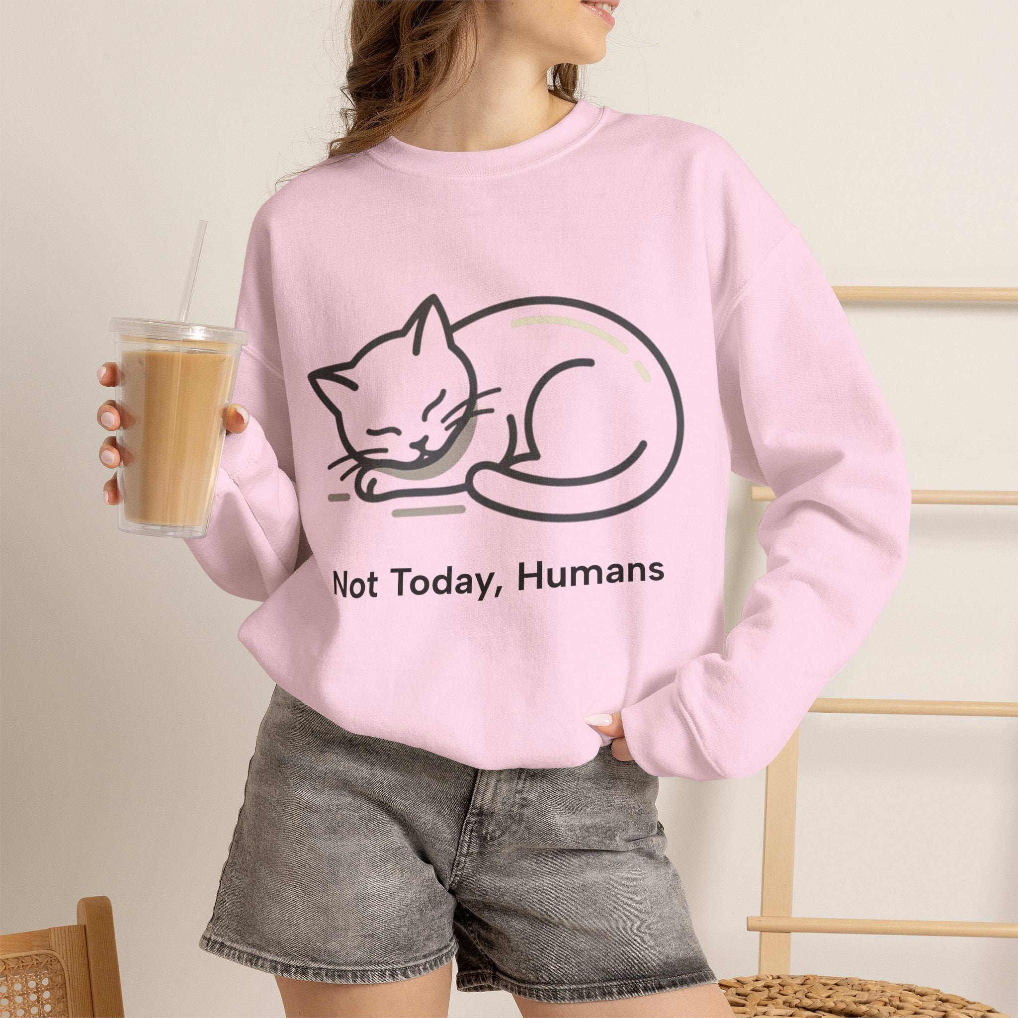 Sleeping Cat Sweatshirt | Not Today, Humans